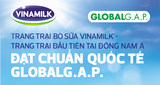 TRANG TRẠI BÒ SỮA ĐẦU TIÊN TẠI ĐÔNG NAM Á ĐƯỢC GLOBALG.A.P. CHỨNG NHẬN ĐẠT TIÊU CHUẨN QUỐC TẾ