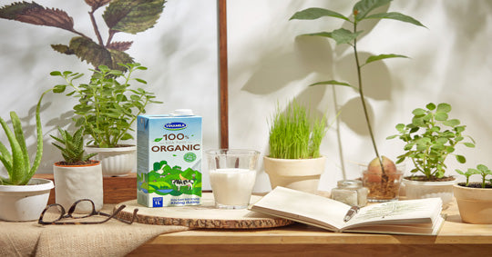 Vinamilk tiên phong cho ra đời sản phẩm sữa tươi 100% Organic đầu tiên được sản xuất tại Việt Nam