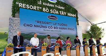 Resort bò sữa Vinamilk Tây Ninh - Ngôi nhà của những cô bò hạnh phúc