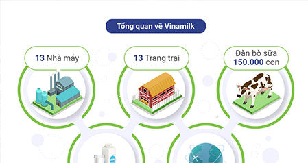 Vinamilk thăng sáu hạng trong top 50 công ty sữa lớn nhất thế giới